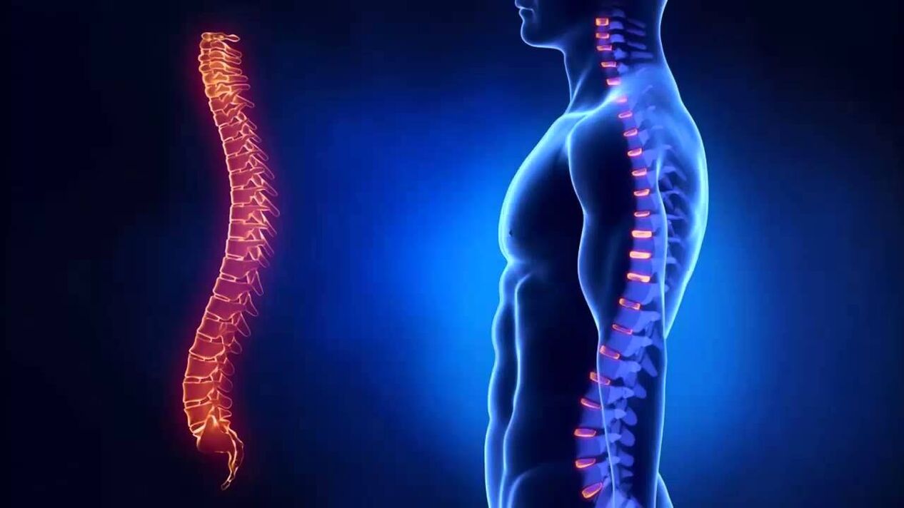 Osteokondrosia gaixotasuna garatzen den bizkarrezurreko zatien arabera sailkatzen da.